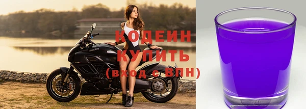 a pvp Новозыбков