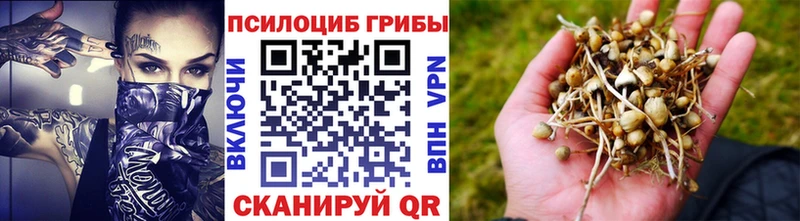 Галлюциногенные грибы ЛСД  закладка  Аргун 