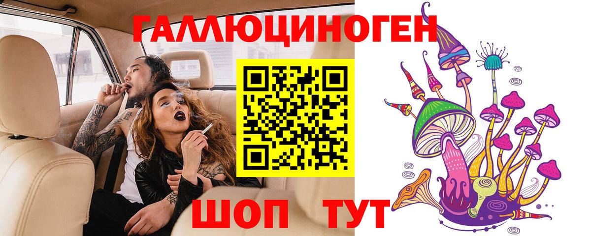 Псилоцибиновые грибы прущие грибы  Аргун 